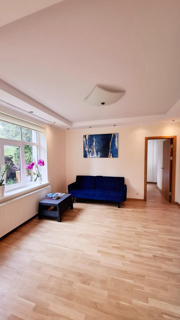 Spacious living room