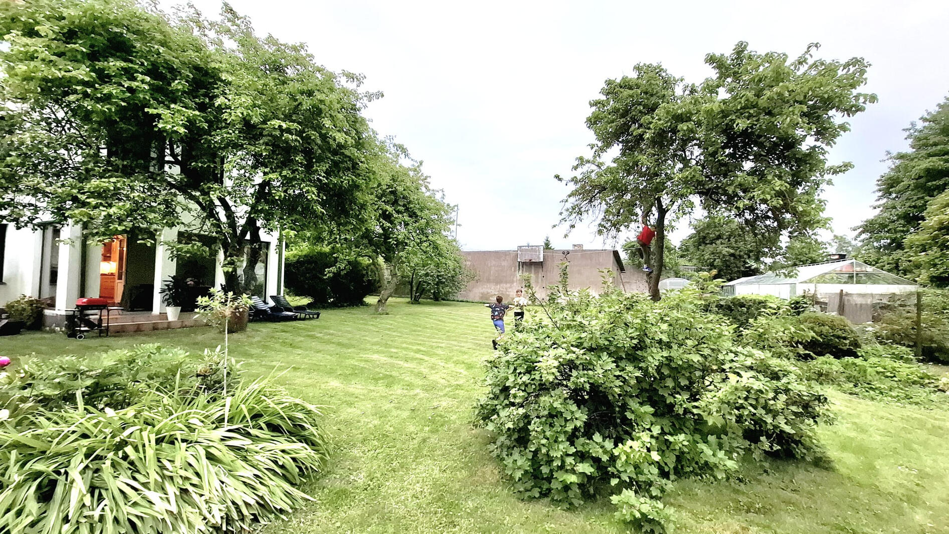 Play basketball, football, volleyball, climb the trees, sunbathe and have a grill party!